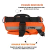 4ème présentation du gilet pour chien