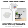 5ème présentation du thermomètre magnétique